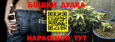 крисы Беслан