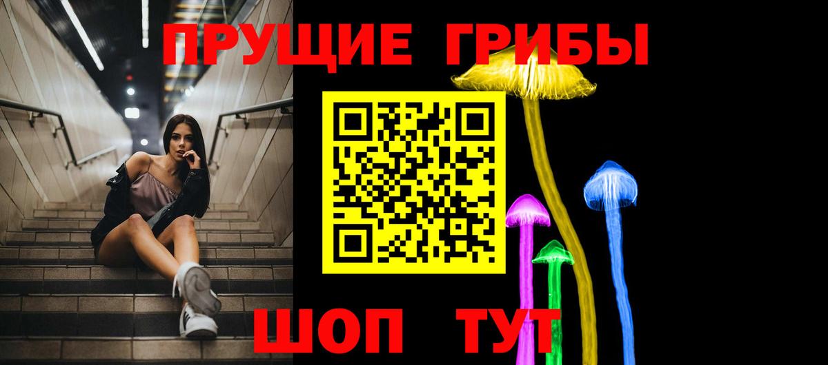 Галлюциногенные грибы MAGIC MUSHROOMS  Вход с VPN  Псилоцибиновые грибы мицелий  Зеленогорск 